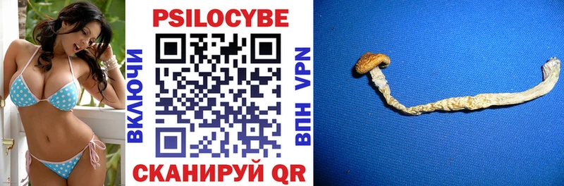 купить закладку Баксан Псилоцибиновые грибы ЛСД